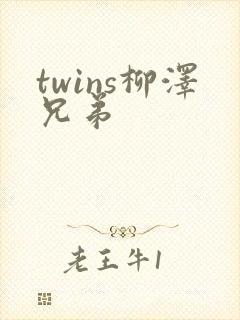 twins柳泽兄弟
