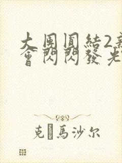 大团圆结2亲情会闪闪发光亲情会2