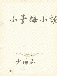 小青梅小说