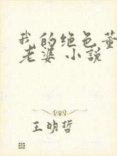 我的绝色董事长老婆 小说