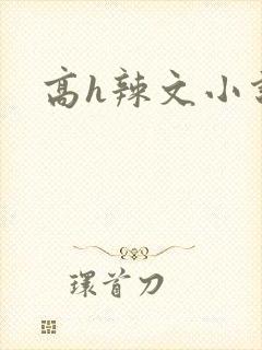 高h辣文小说