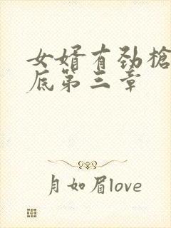 女婿有劲枪枪到底第三章