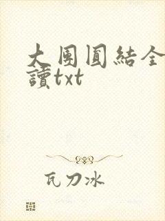 大团圆结全文阅读txt