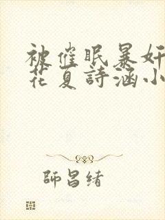 被催眠暴奸的校花夏诗涵小说