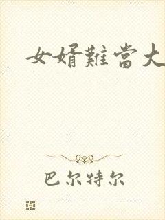 女婿难当大结局