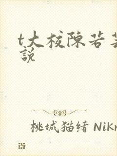 t大校陈若芸小说