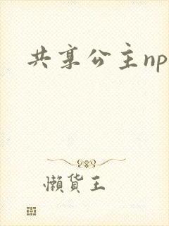 共享公主npc