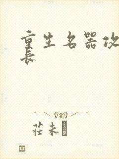 重生名器攻略兄长