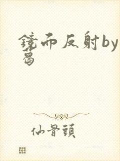 镜面反射by九葛