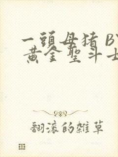 一头母猪 BY 黄金圣斗士