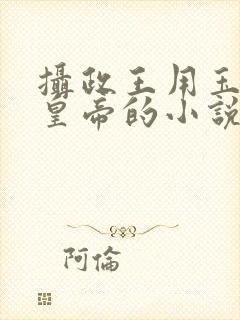 摄政王用玉髓整皇帝的小说