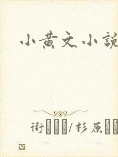 小黄文小说
