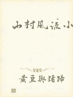 山村风流小说