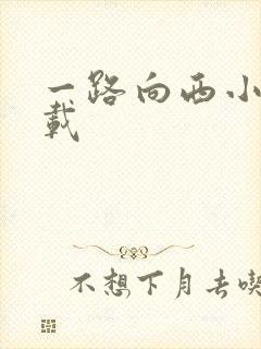 一路向西小说下载