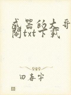 成器的大哥笔趣阁txt下载