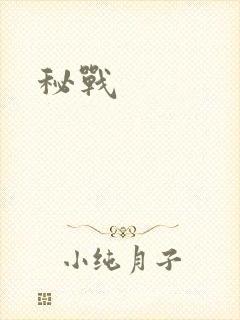 秘战