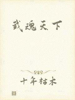 武魂天下