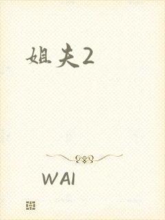 姐夫2