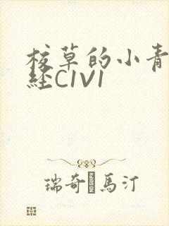 校草的小青梅不经C1V1