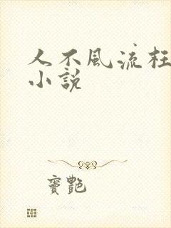 人不风流枉少年小说