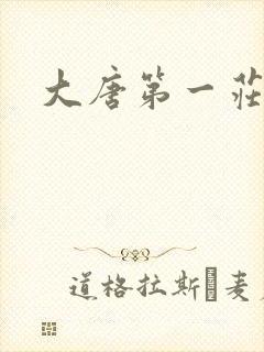 大唐第一庄