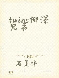 twins柳泽兄弟