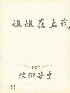 姐姐在上我在下