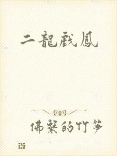 二龙戏凤