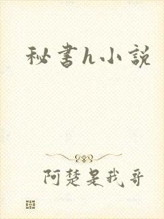 秘书h小说