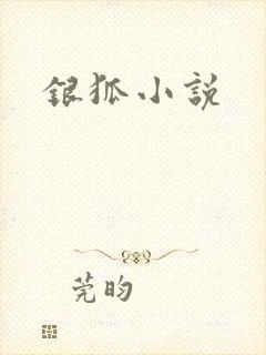 银狐小说