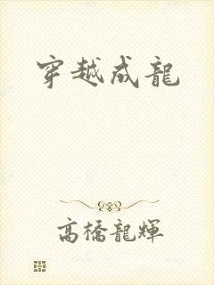 穿越成龙