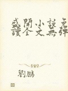 盛开小说免费阅读全文无弹窗