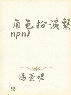 角色扮演系统(npn)