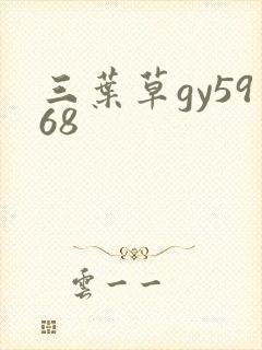 三叶草gy5968