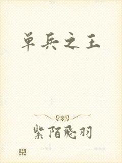 单兵之王