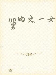 np肉文一女多男