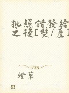 批照错发给情敌之后[双/产]