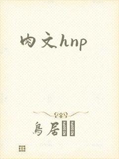 肉文hnp