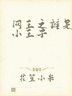 网王之谁是我的小王子