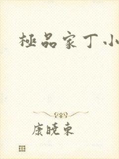 极品家丁小说