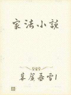 家法小说