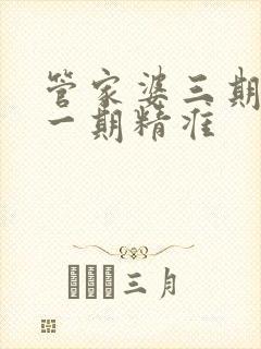 管家婆三期必开一期精准