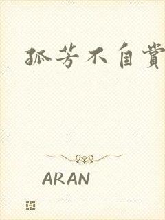 孤芳不自赏小说