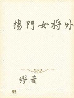 杨门女将外传