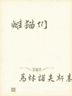 雌猫们