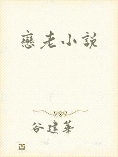 恋老小说