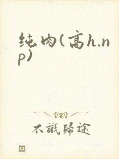 纯肉(高h.np)
