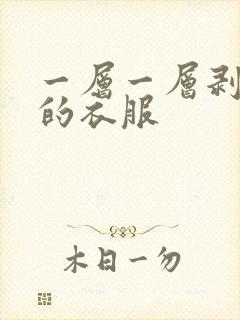 一层一层剥掉你的衣服