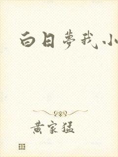 白日梦我小说