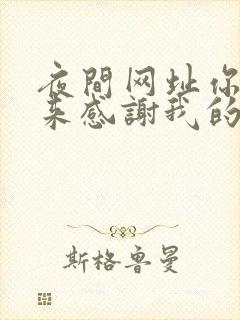 夜间网址你会回来感谢我的